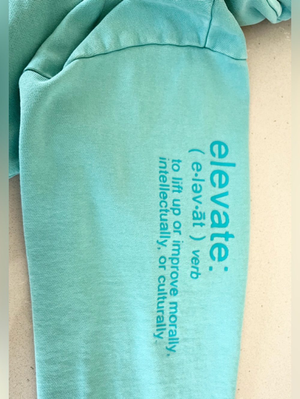 Tiger Friday Elevate Hoodie Sweatshirt Pullover Aloe Men’s Size Medium - Picture 6 of 11